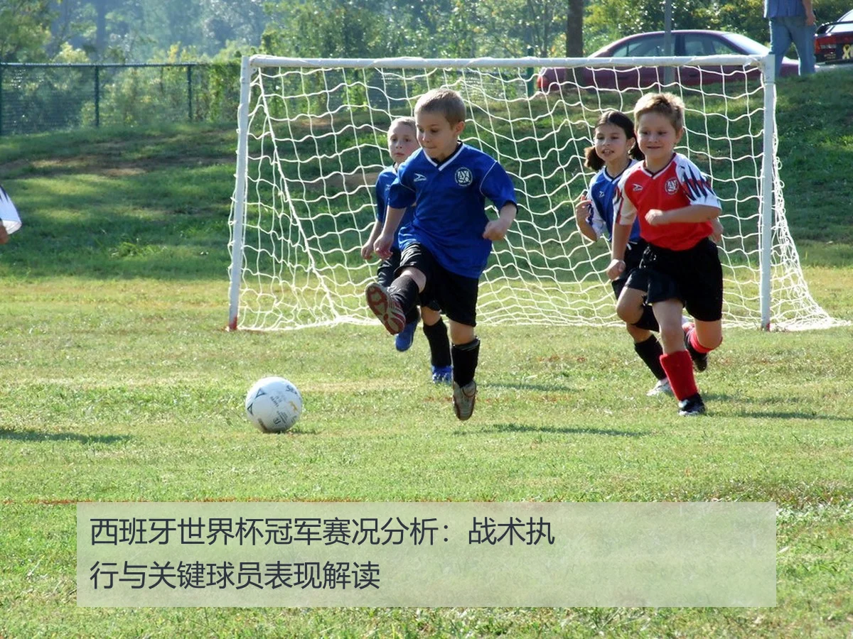 西班牙世界杯冠军赛况分析:战术执行与关键球员表现解读